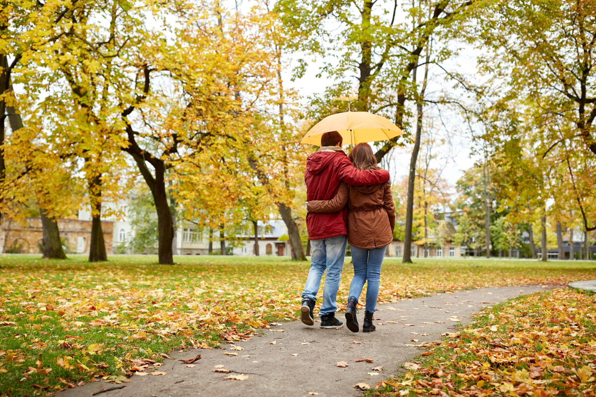 Scopri di più sull'articolo Autunno: il momento per prepararsi all’inverno